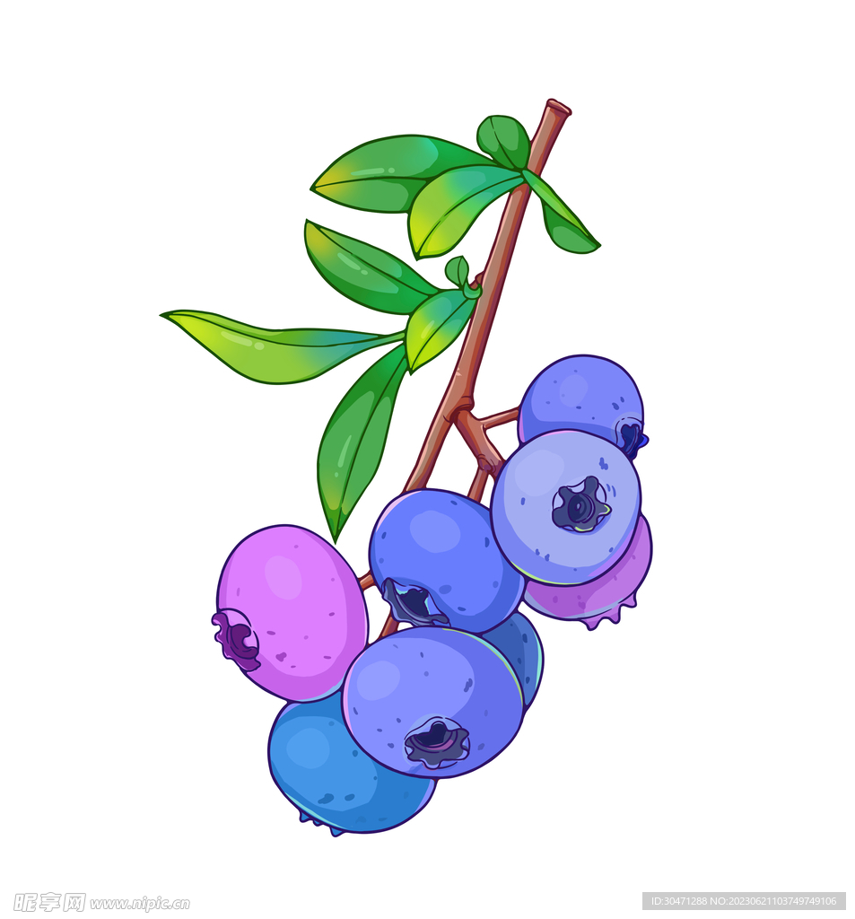 水果蓝莓插画