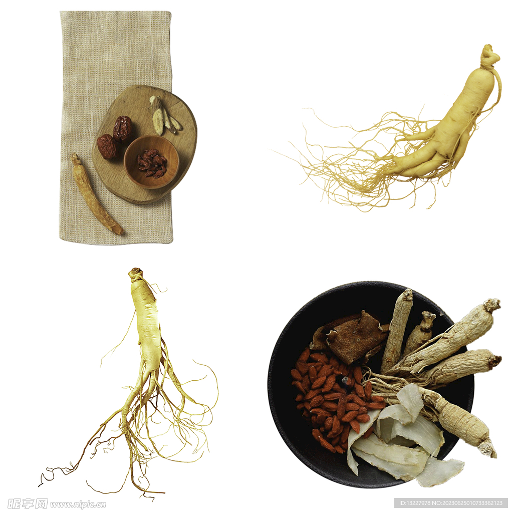 中药药材草药人参西洋参