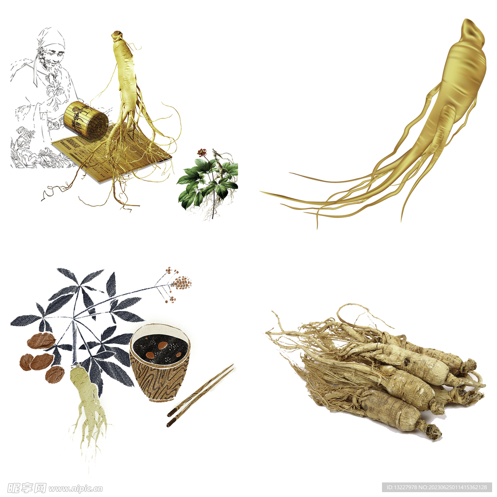 中药药材草药人参西洋参