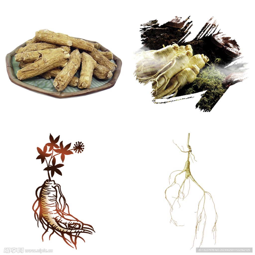 中药药材草药人参西洋参