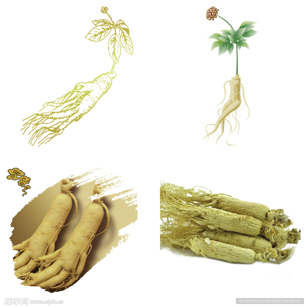 中药药材草药人参西洋参