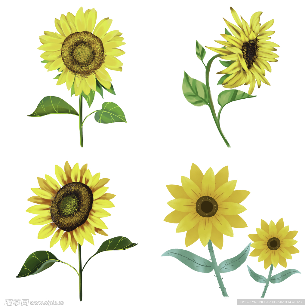 可爱卡通手绘向日葵太阳花