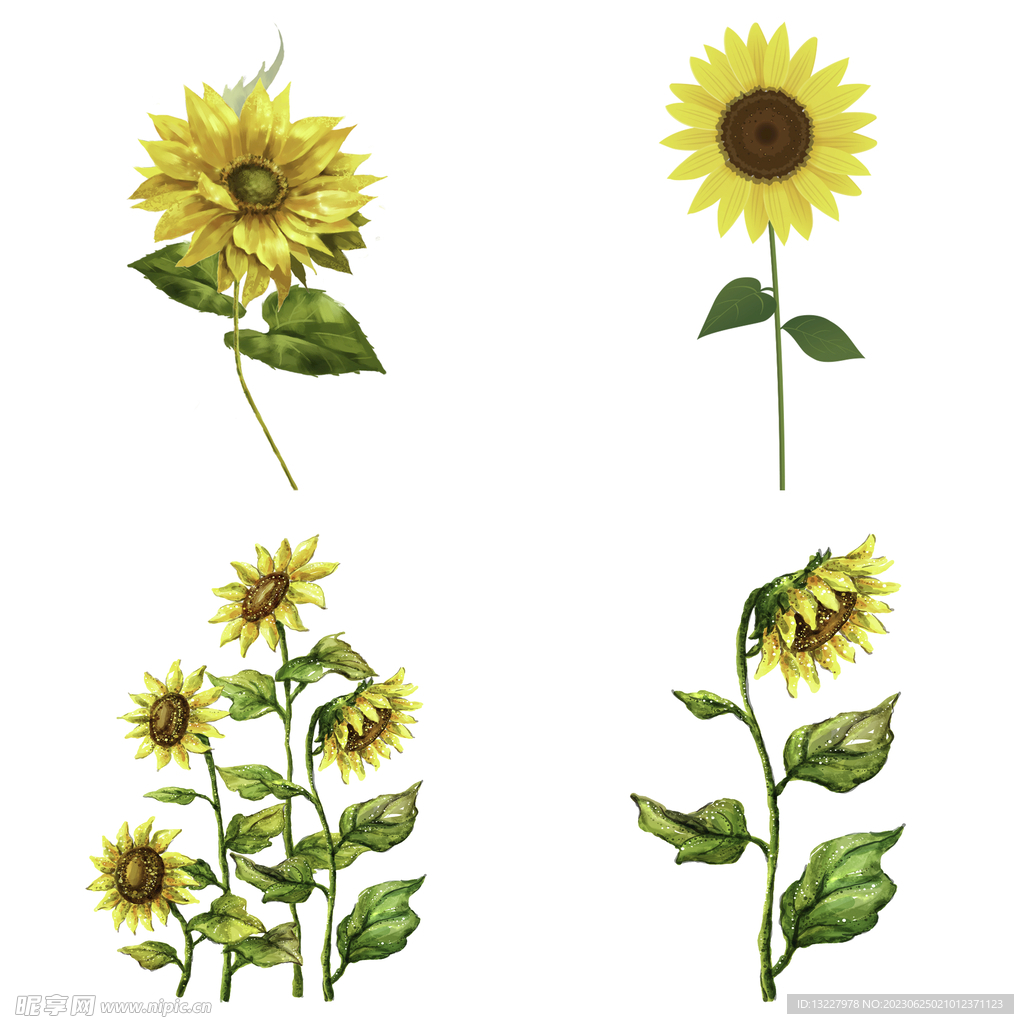 可爱卡通手绘向日葵太阳花