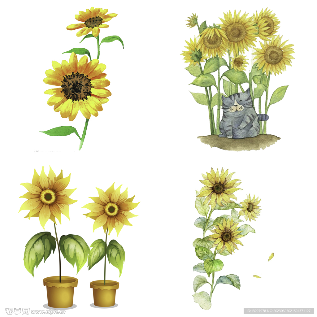 可爱卡通手绘向日葵太阳花