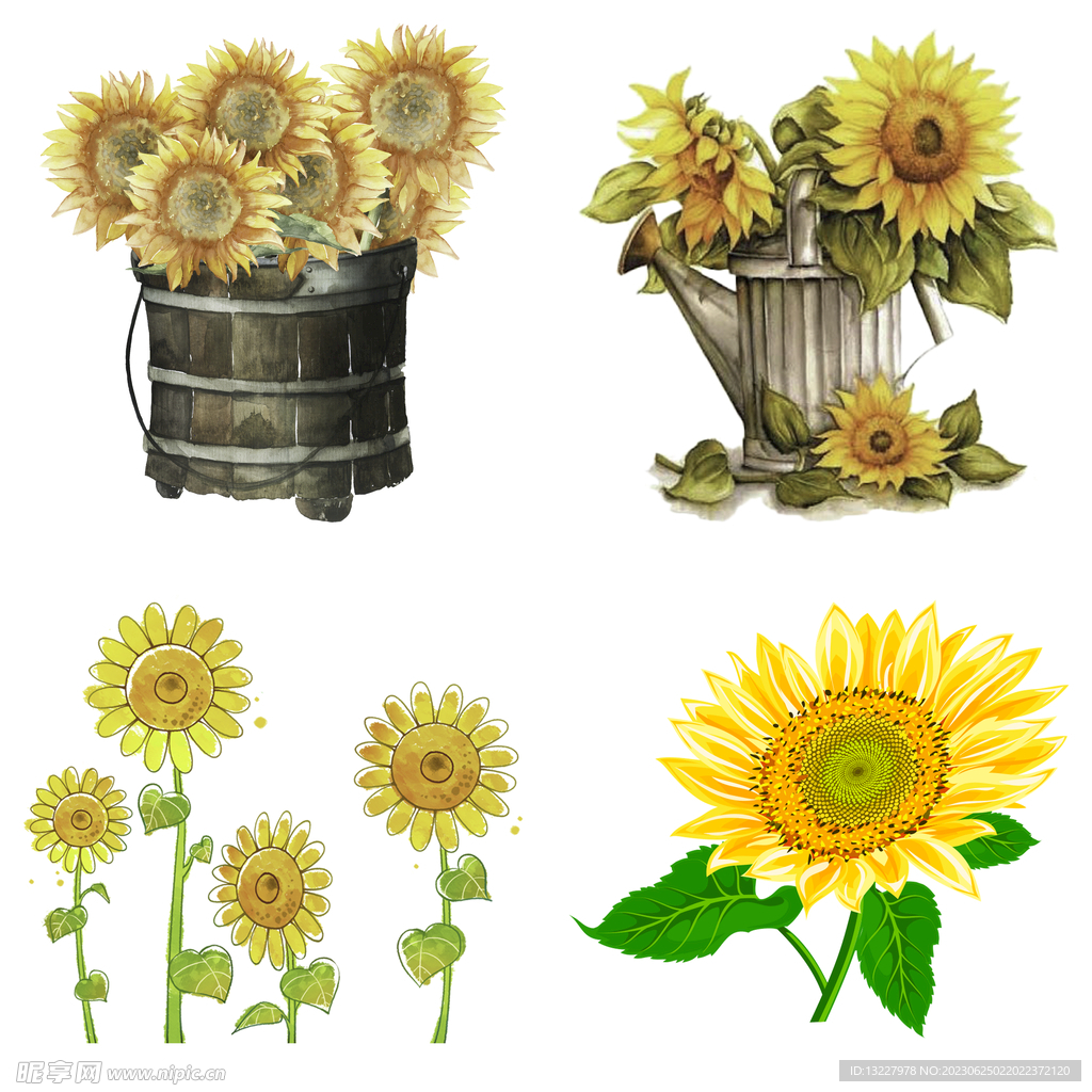 可爱卡通手绘向日葵太阳花