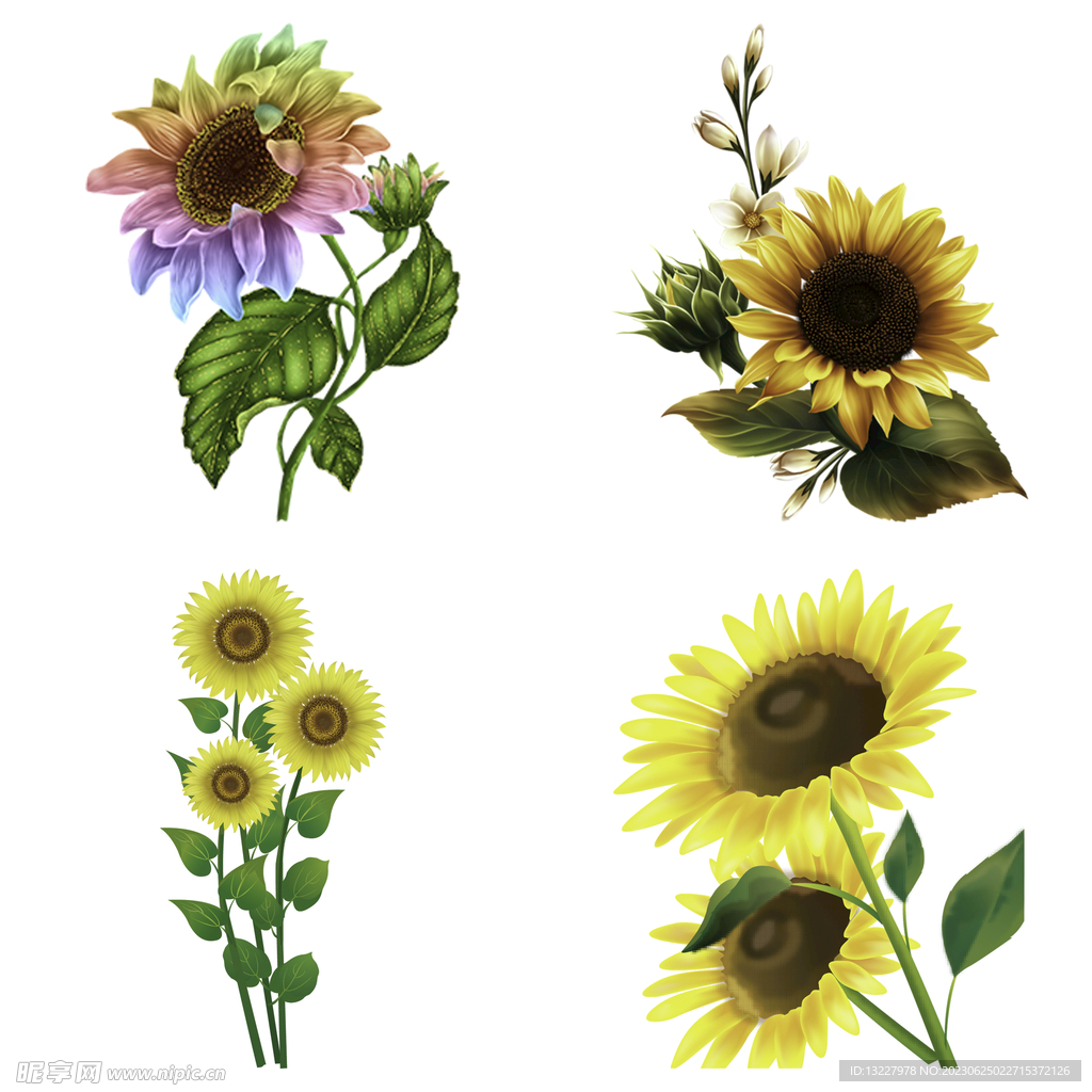 可爱卡通手绘向日葵太阳花