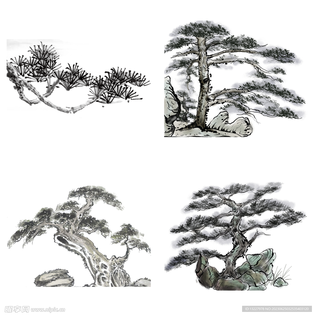 中国风水墨松树松枝迎客松水墨画