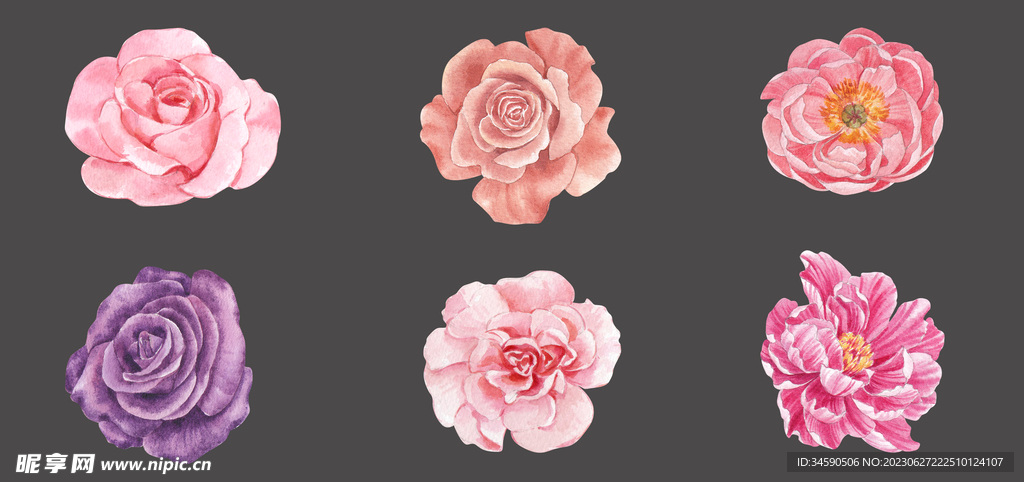 粉色红色花朵花卉鲜花