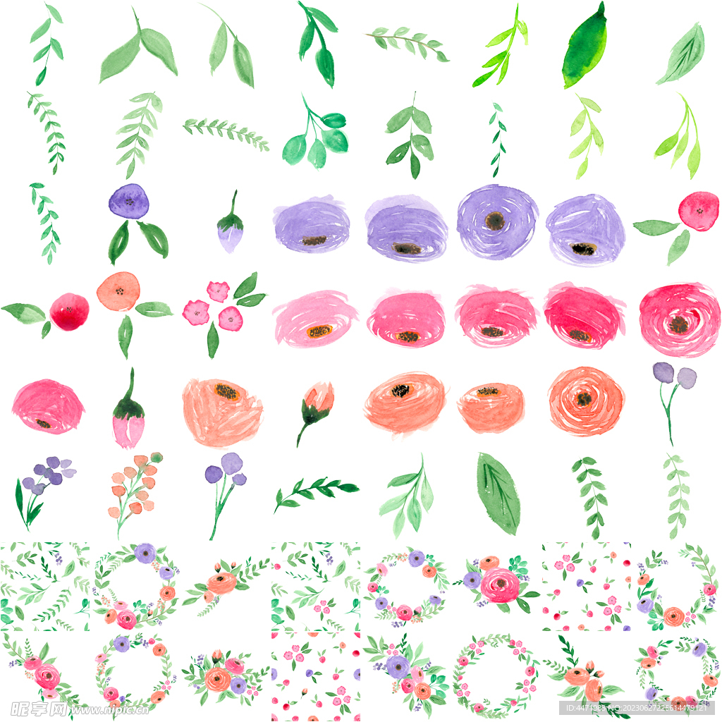 水彩鲜花花卉