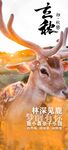 立秋海报