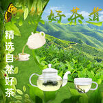 自然茶道海报名片