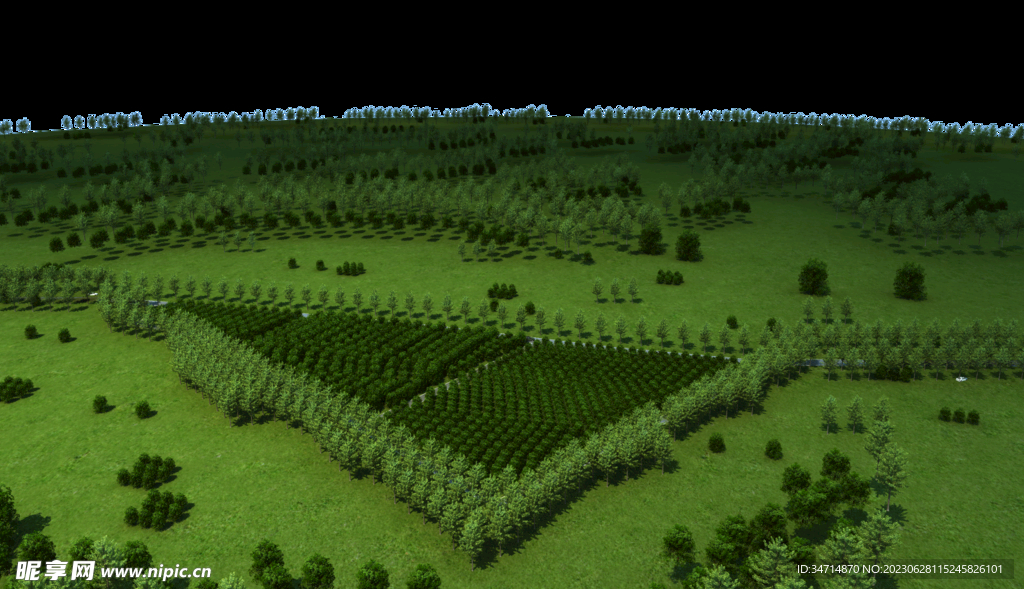 树木分布效果图