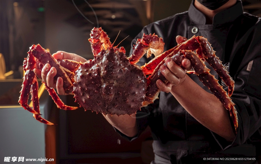 帝王蟹拍照摄影手抓海鲜