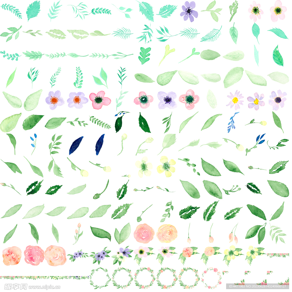 百款绿植花卉png