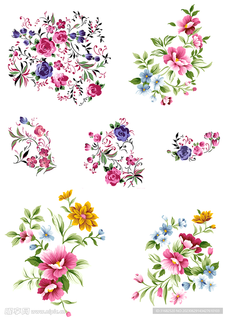 手绘插画花卉合集