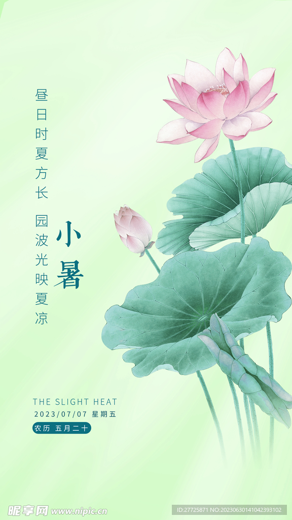 小暑节气莲花海报