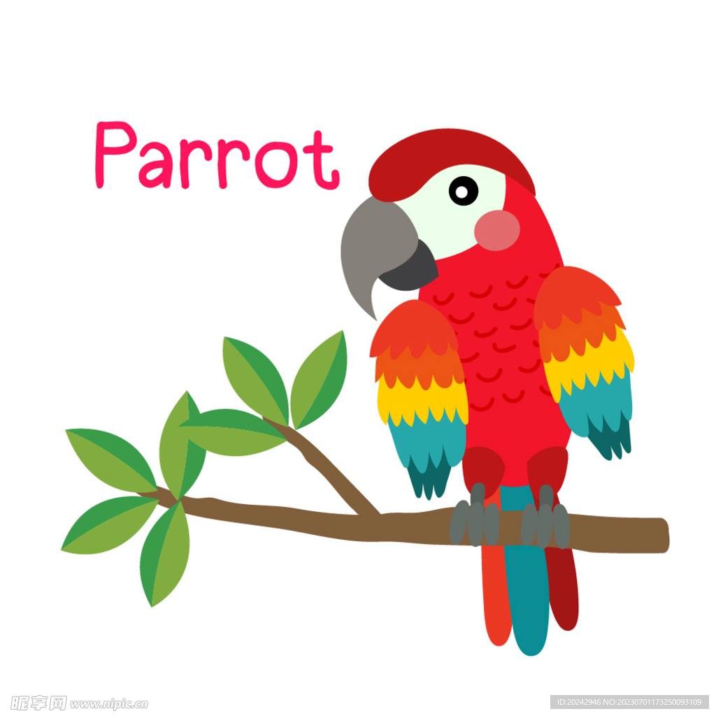 手绘鹦鹉