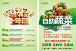 蔬菜彩页