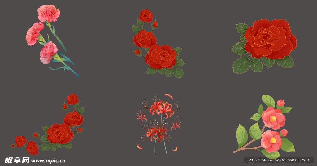 红色玫瑰花朵花卉植物鲜花