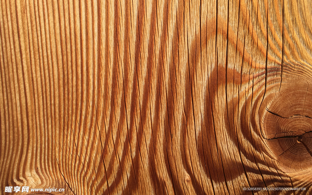 原木树墩木纹背景