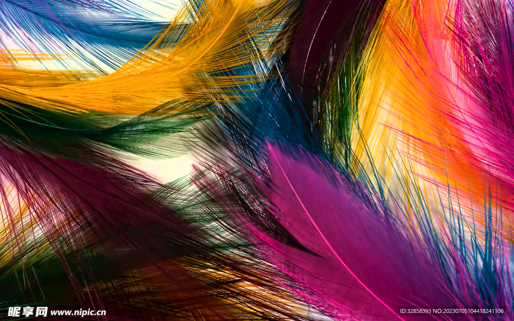 彩色羽毛插画背景