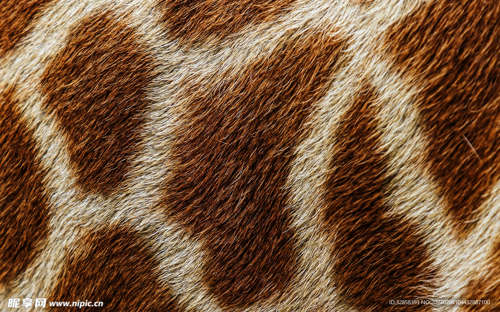 黄色虎皮纹背景