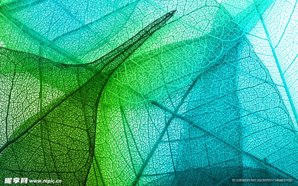 绿色透明发光树叶插画底纹