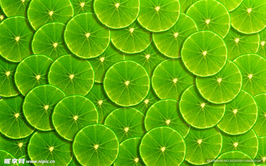 圆形荷叶树叶插画底纹