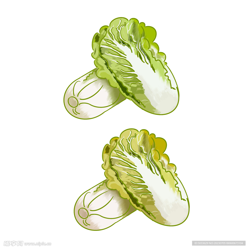 手绘卡通白菜