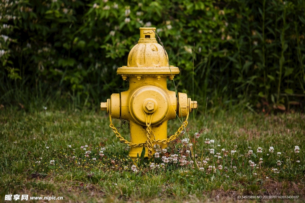 草地上的消防栓