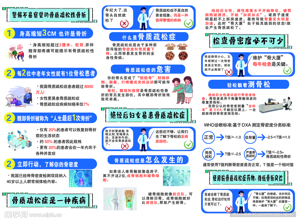 骨质疏松症三折页
