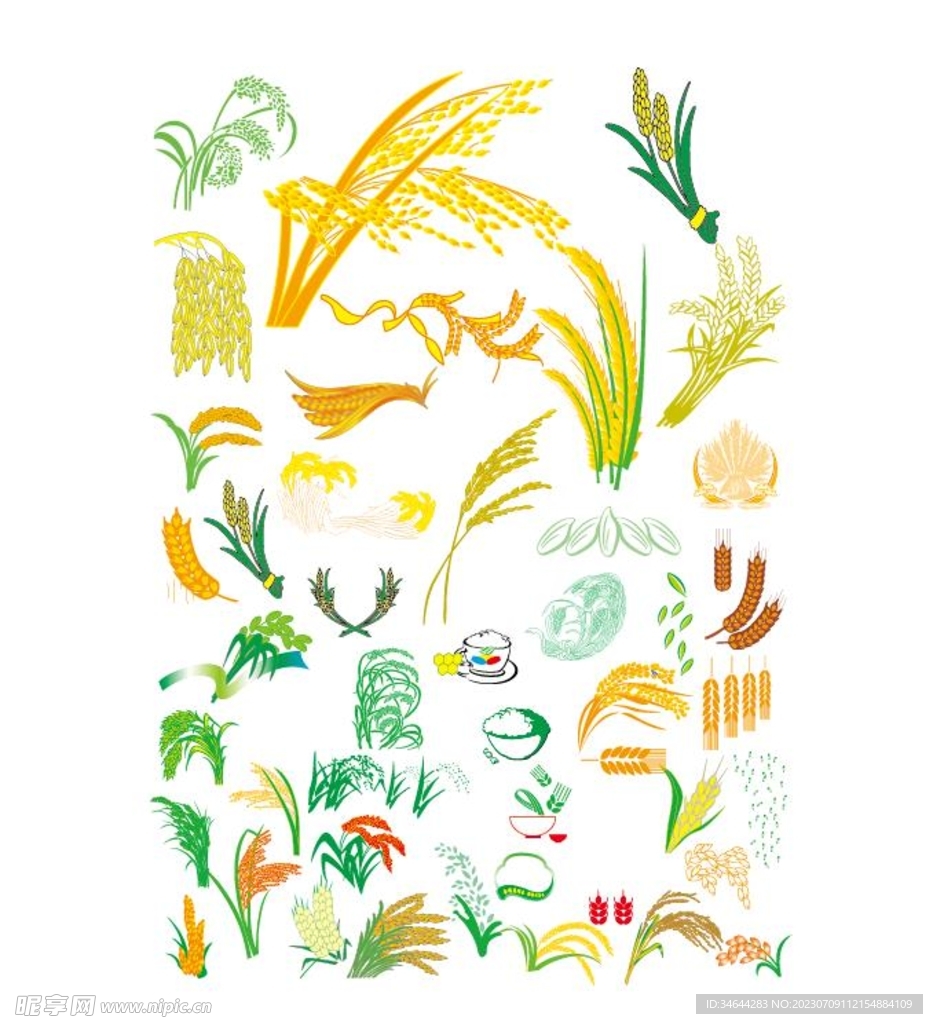 农作物图集