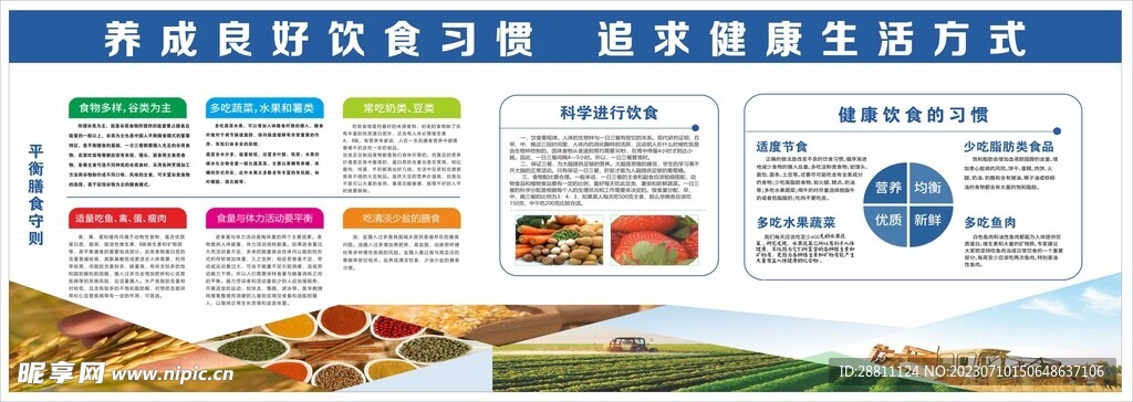 食堂节约粮食健康饮食养生宣传栏