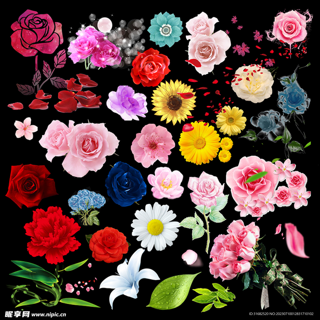 花卉高清素材合集