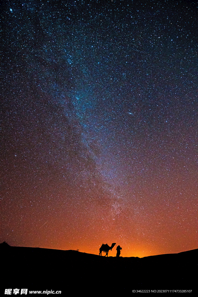 夜空骆驼