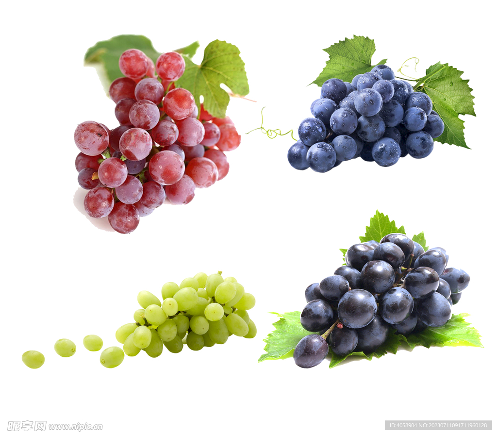 免抠葡萄