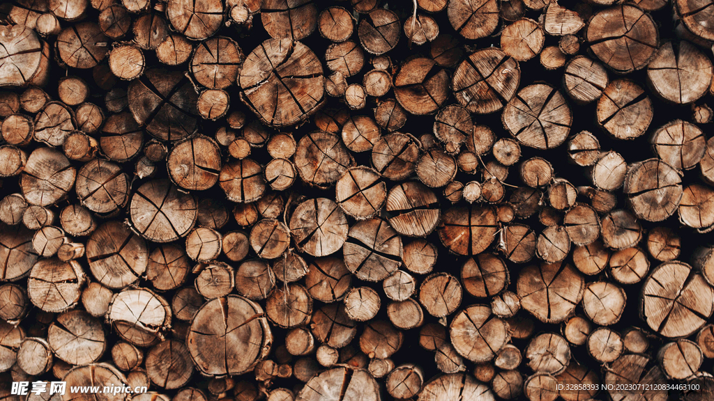 原木堆放背景
