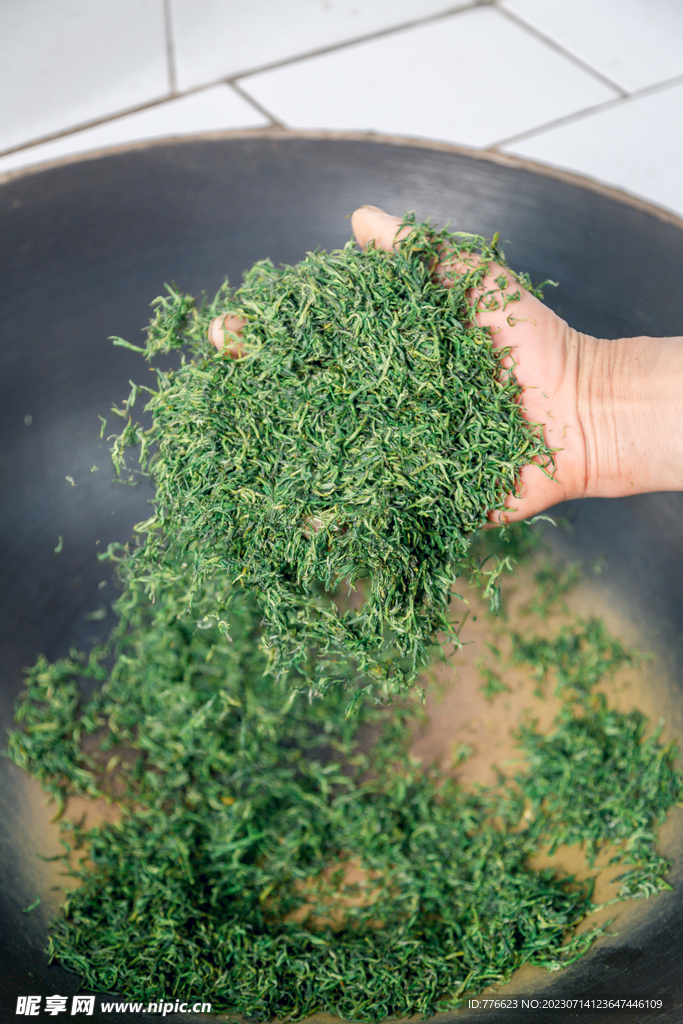 绿茶 碧螺春 炒茶