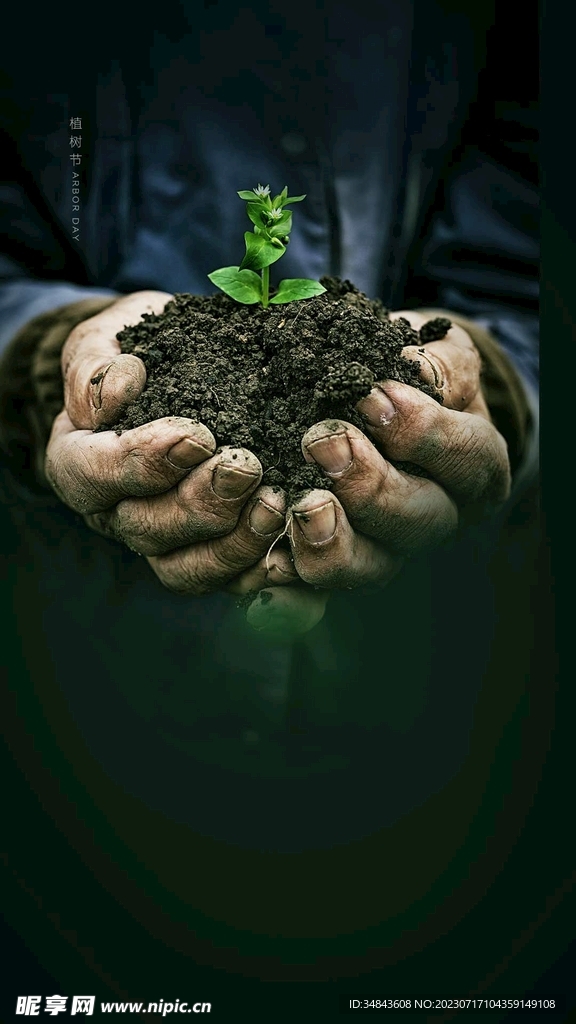 植树节宣传手捧泥土树苗海报图片
