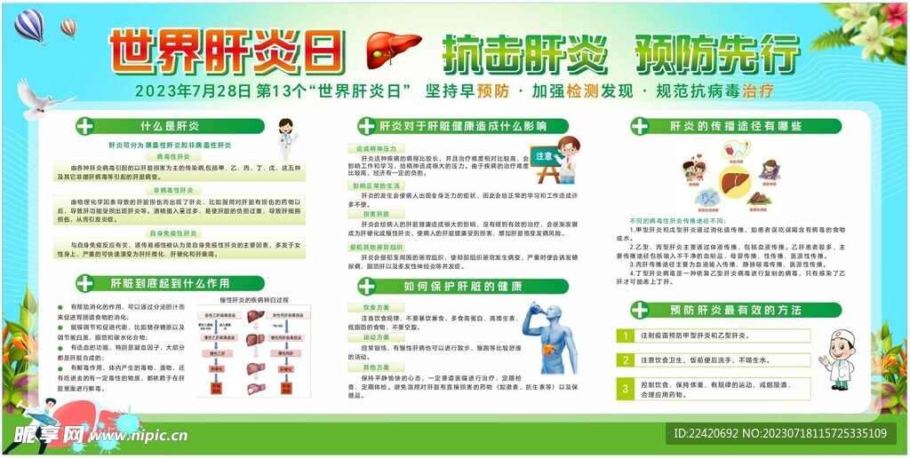 肝炎日宣传栏