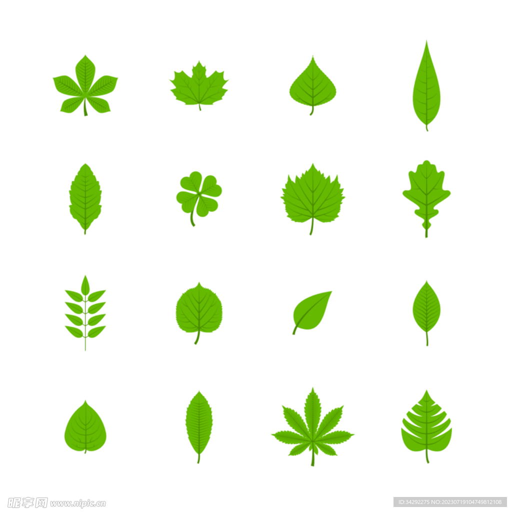 树叶插画