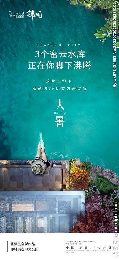 地产大暑海报宣传二十四节气