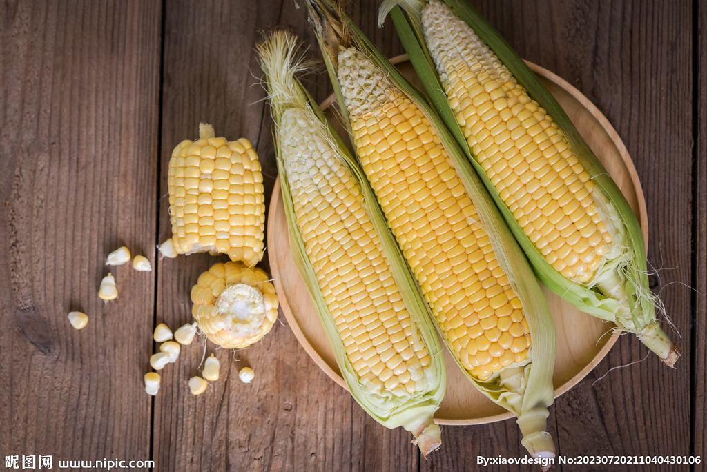 玉米图片