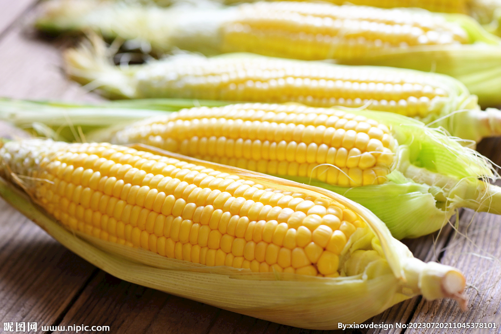 玉米图片