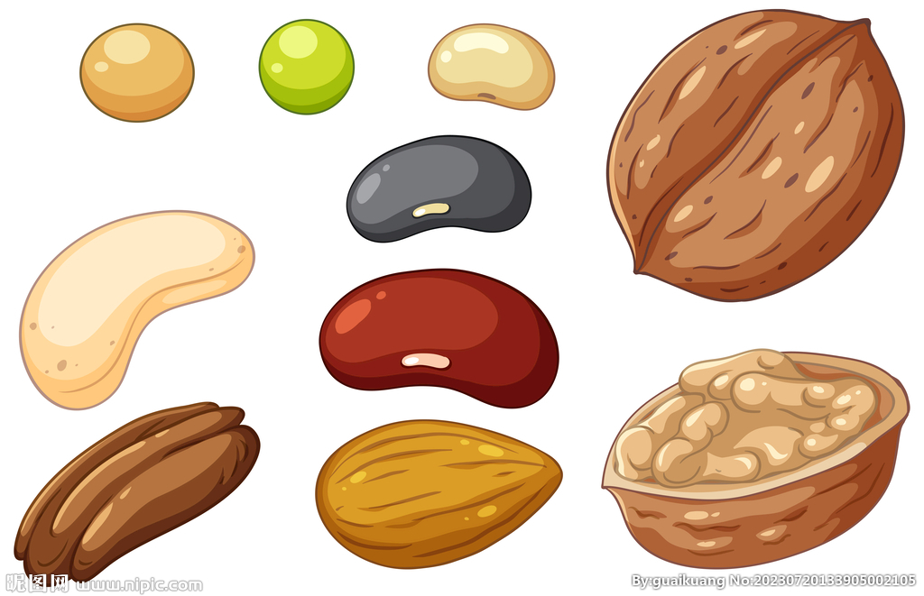 大豆种类插画图