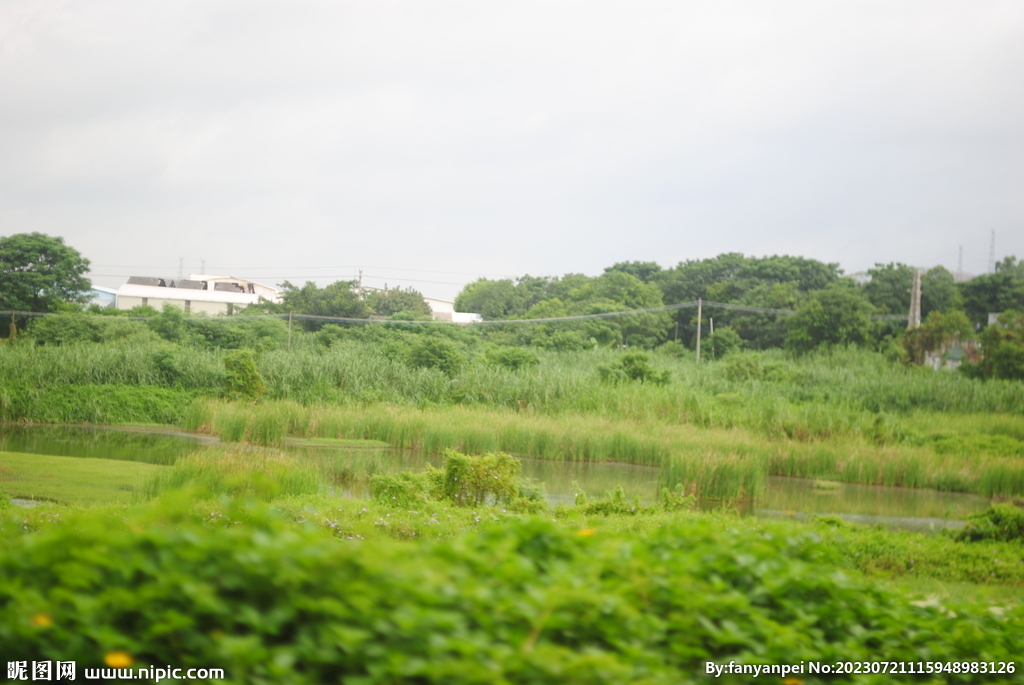 城市山林郊野鱼塘一角