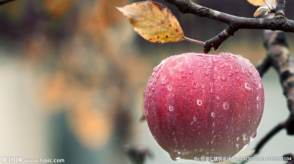 水滴在苹果