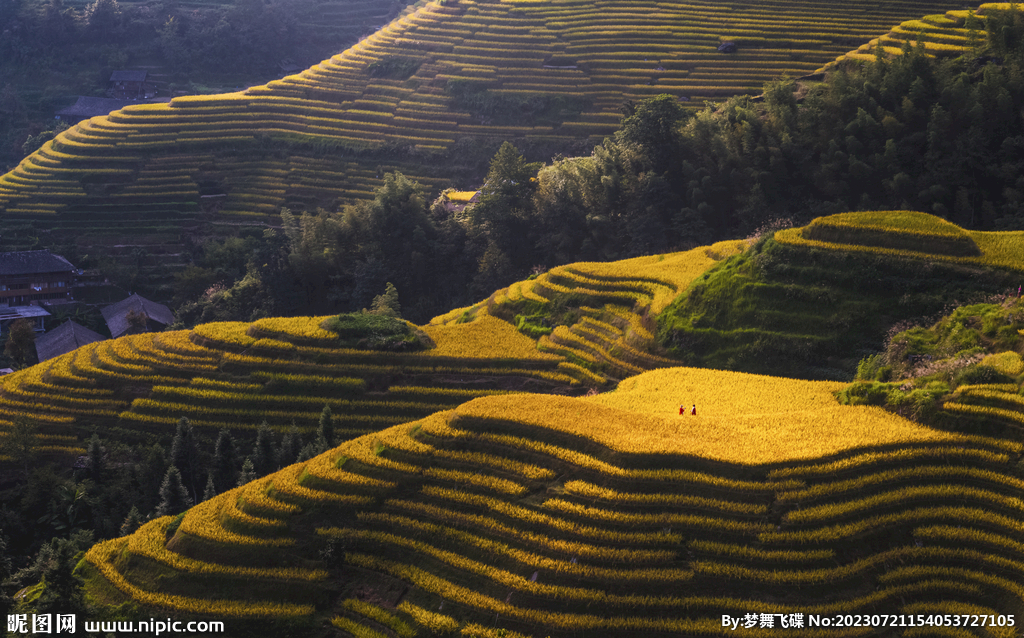 桂林山水风景