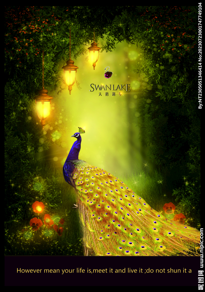 唯美华贵梦幻孔雀房地产广告设计