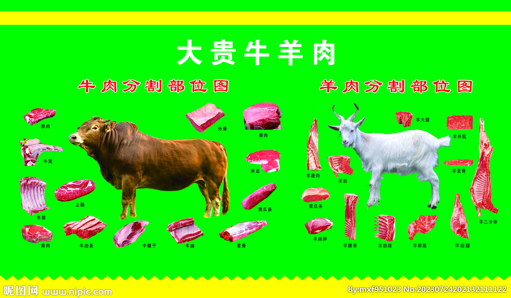 牛羊肉分割图图片